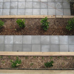 450x450 Sandy Urban Grey Pathways