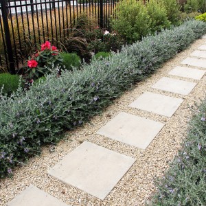 500x500 Smooth Natural Steppers with Amuri Lime Chip