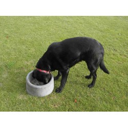 Concrete Dog Bowl - Large