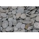 Westland Flat Stones Small (25-70mm) - Scoop