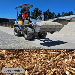 Arbor Chip - Scoop
