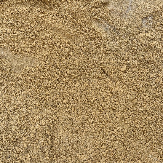 Golden Sand - Scoop