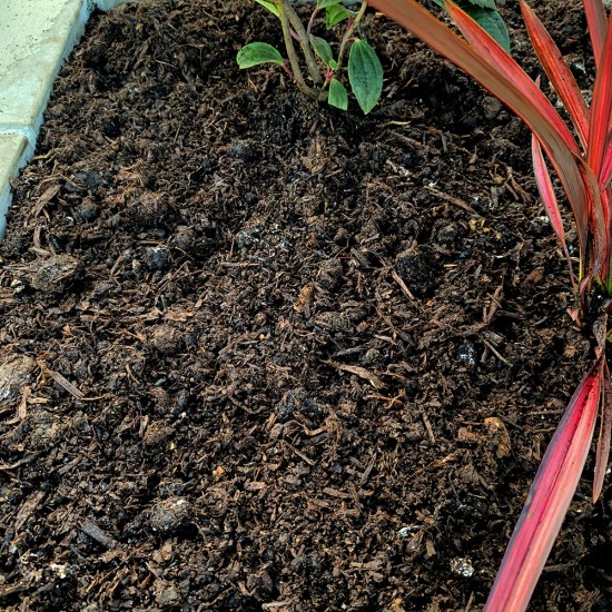 Mushroom Compost - Scoop