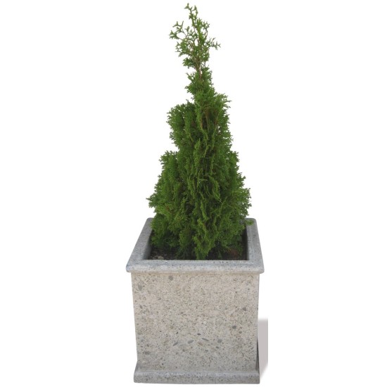 Concrete Planter Square Large - Exposed Aggregate Classic