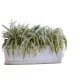 Concrete Planter Long Trough - Natural