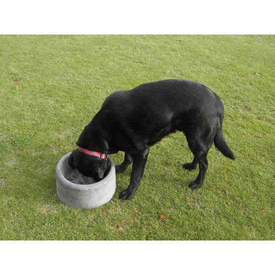 Concrete Dog Bowl - Large