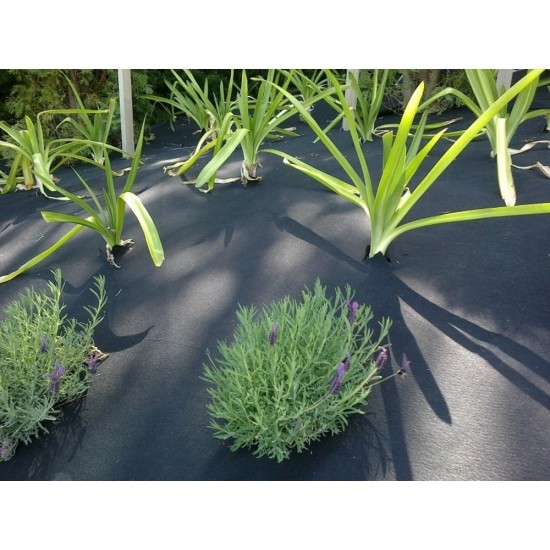 Weedmat Ecocil 1.8 x 20m