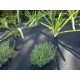 Weedmat Ecocil 1.8 x 20m