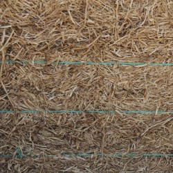 Peastraw - Bale