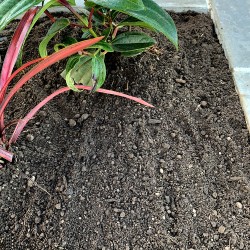 Garden Mix Soil - 20L Bag