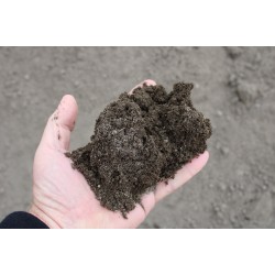 Lawn Construction Mix Soil - Cubic Metre